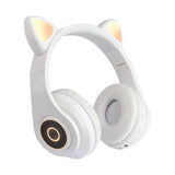 Cat ear headphones